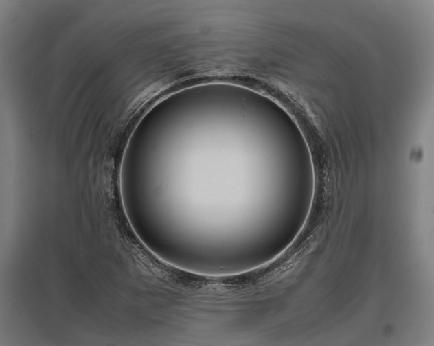 X0000095941265200801181353