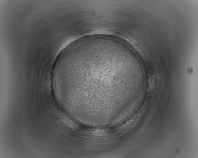 X0000095941266200801181353
