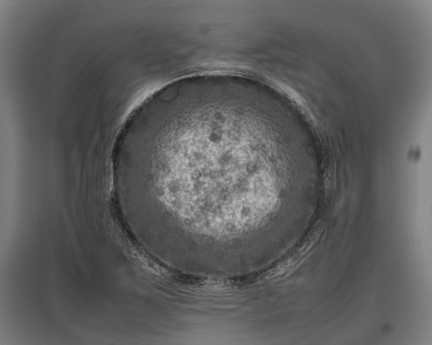 X0000095941267200801181353