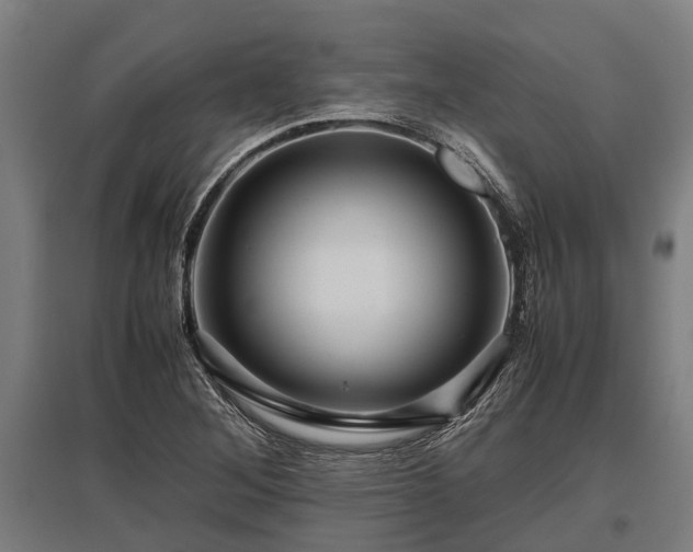 X0000095941268200801181353