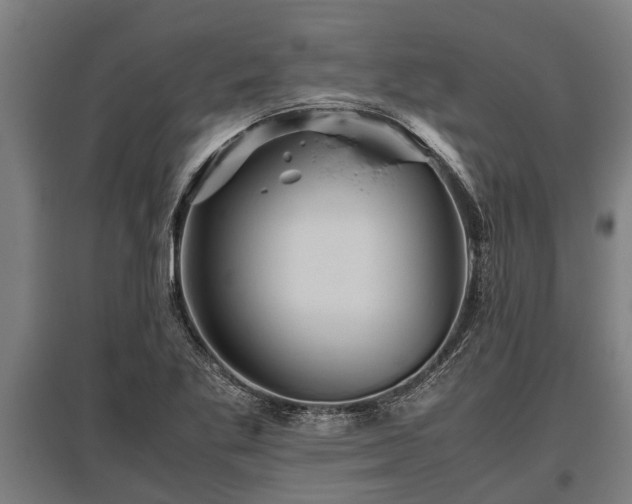 X0000095941269200801181353