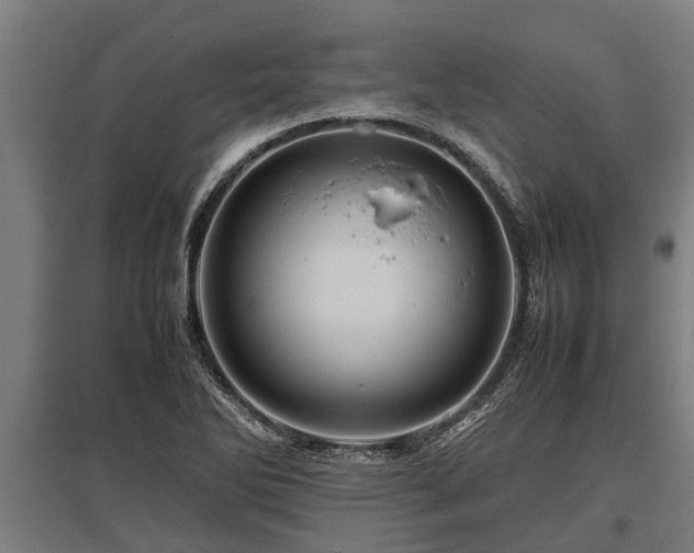 X0000095941270200801181353
