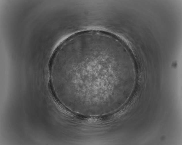 X0000095941271200801181353