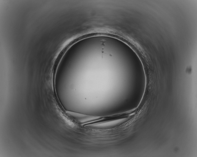 X0000095941272200801181353