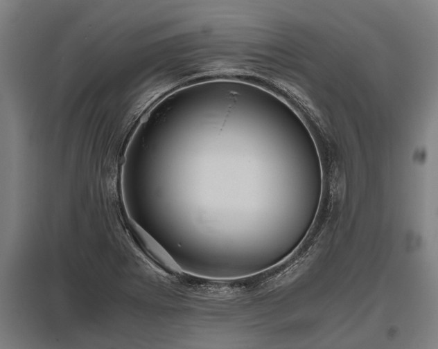 X0000095941273200801181353