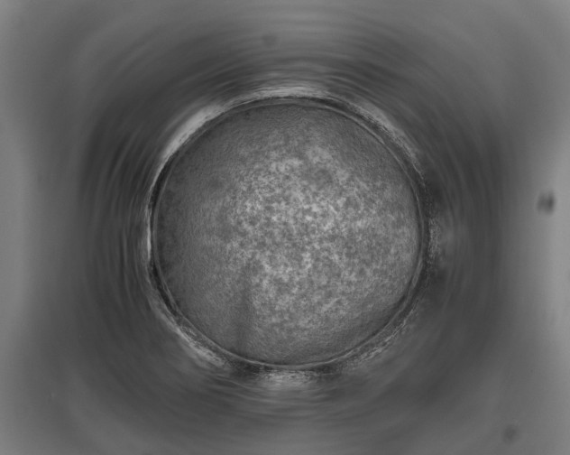X0000095941274200801181353
