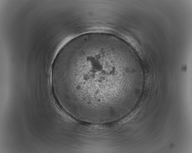 X0000095941275200801181353