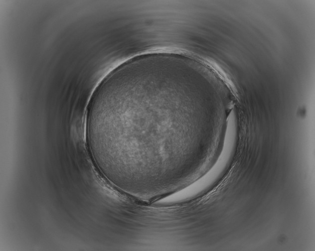 X0000095941276200801181353