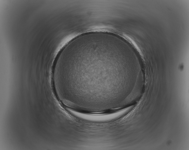 X0000095941277200801181353