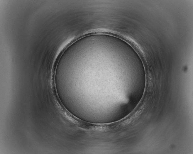 X0000095941278200801181353