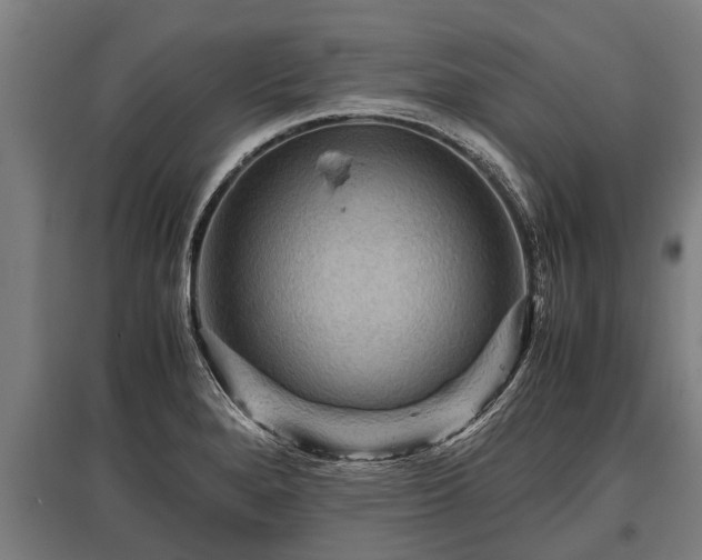 X0000095941280200801181353