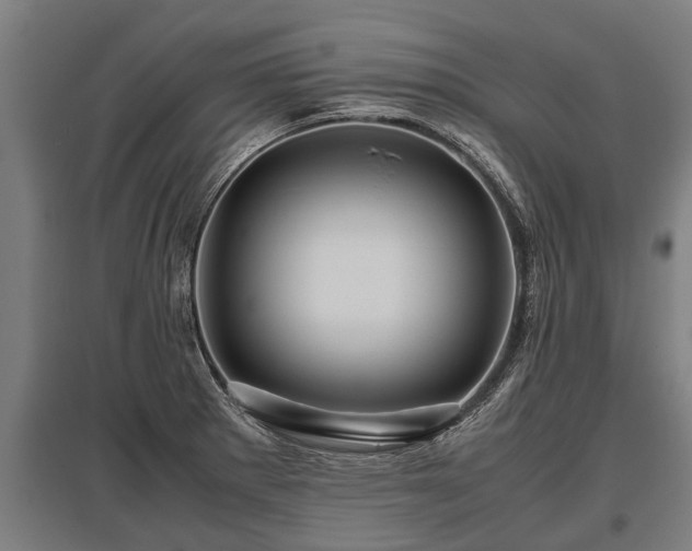 X0000095941281200801181353