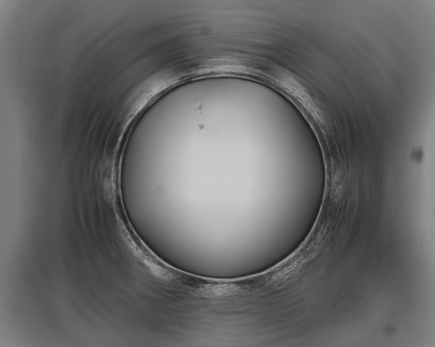 X0000095941282200801181353