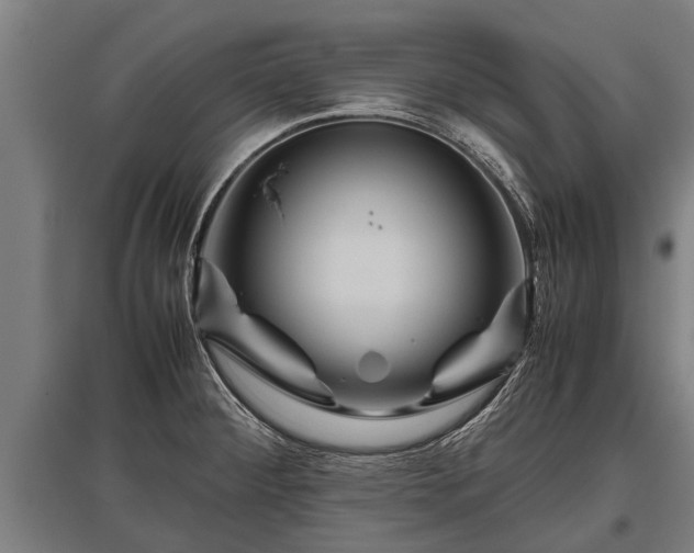 X0000095941284200801181353