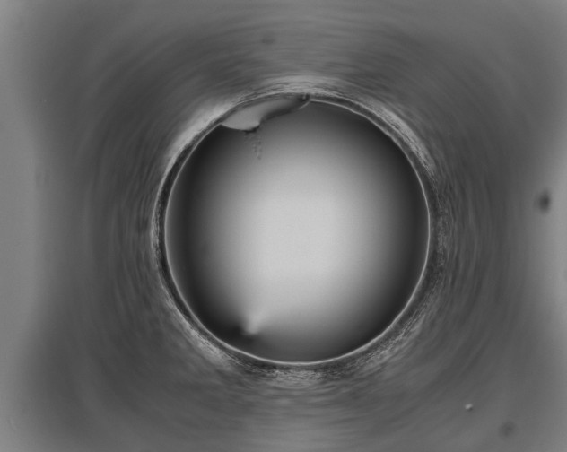 X0000095941285200801181353