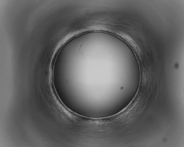 X0000095941286200801181353