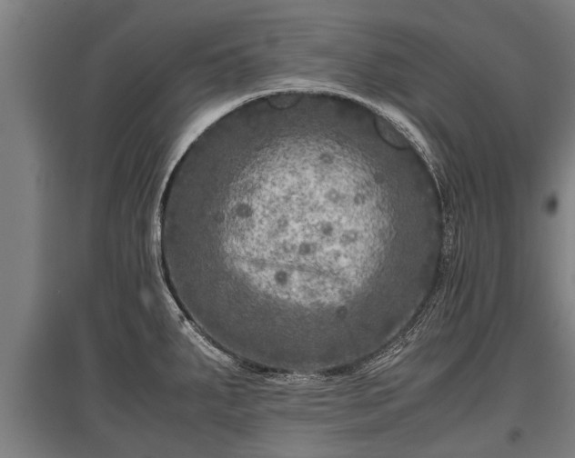 X0000095941287200801181352