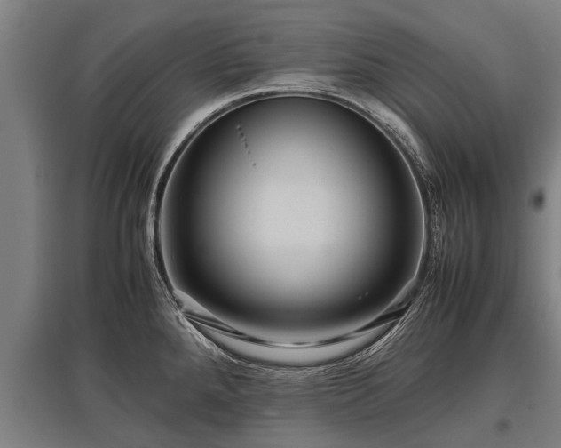 X0000095941288200801181352