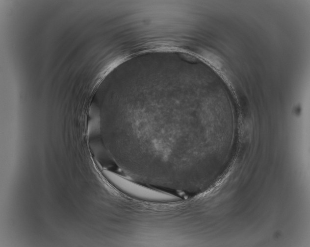 X0000095941289200801181352