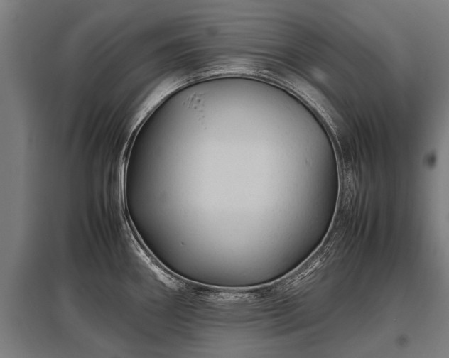X0000095941290200801181352