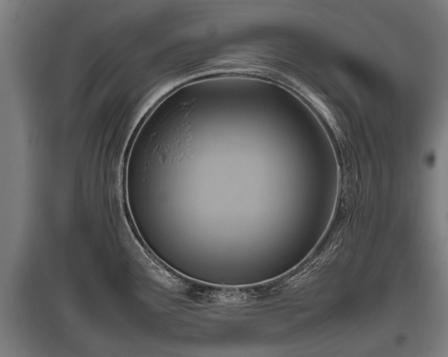 X0000095941291200801181352