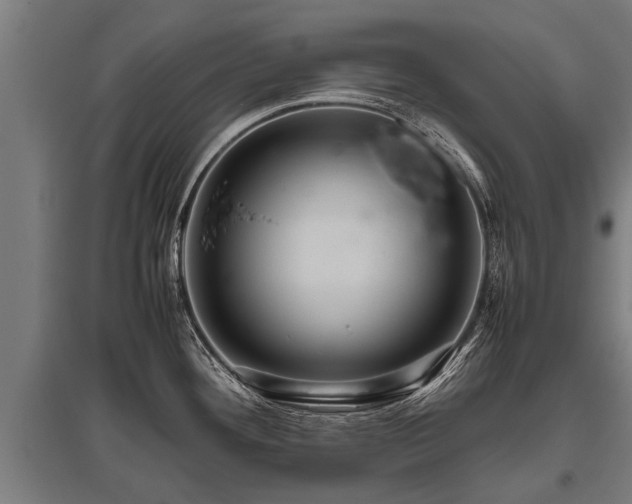 X0000095941292200801181352
