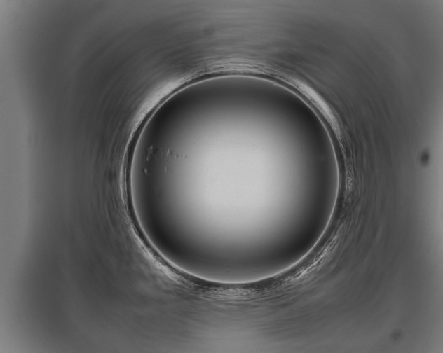 X0000095941293200801181352