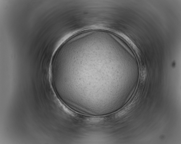X0000095941294200801181352