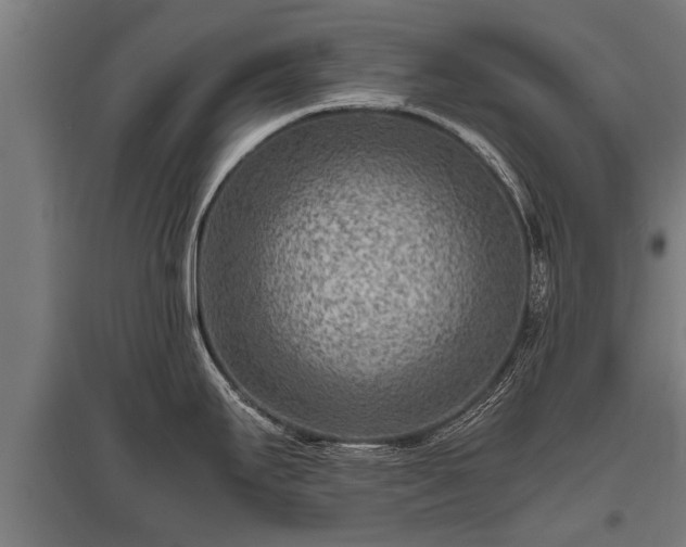 X0000095941295200801181352