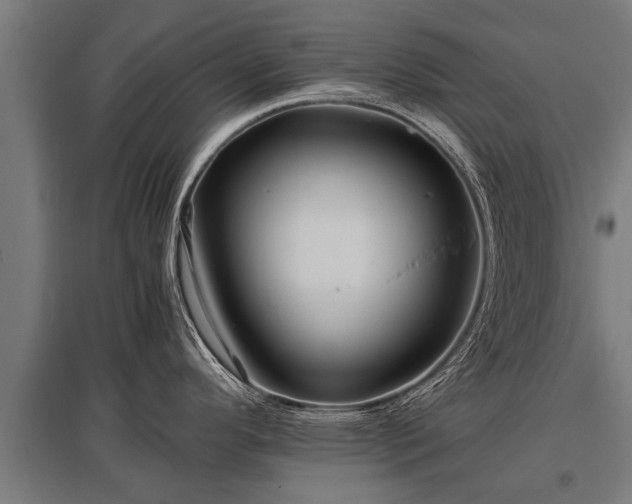X0000095941296200801181352