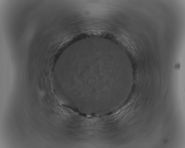 X0000095941297200801181352