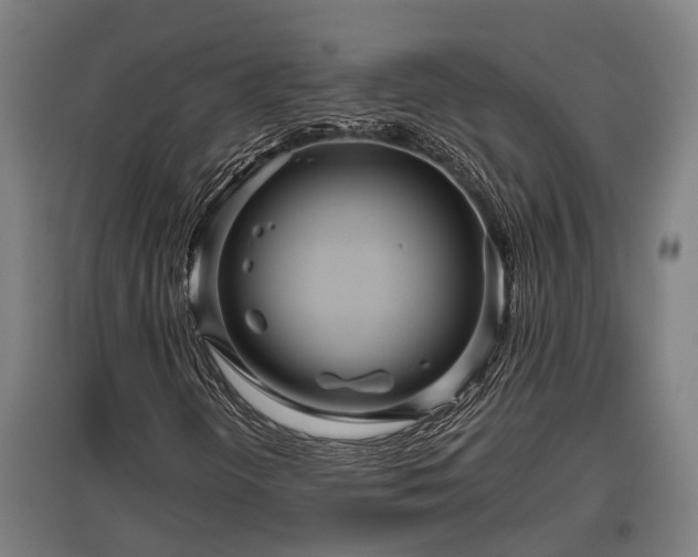 X0000095941298200801181352