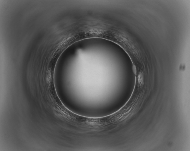 X0000095941299200801181352