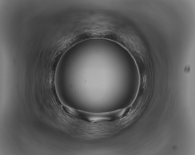 X0000095941300200801181352