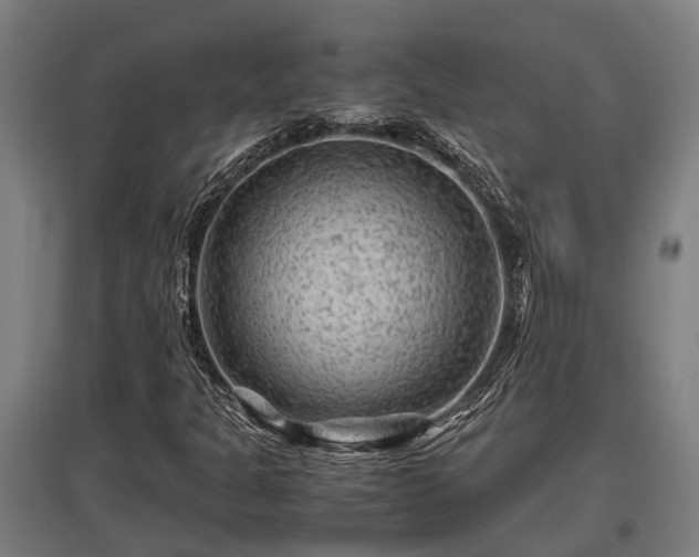 X0000095941301200801181352