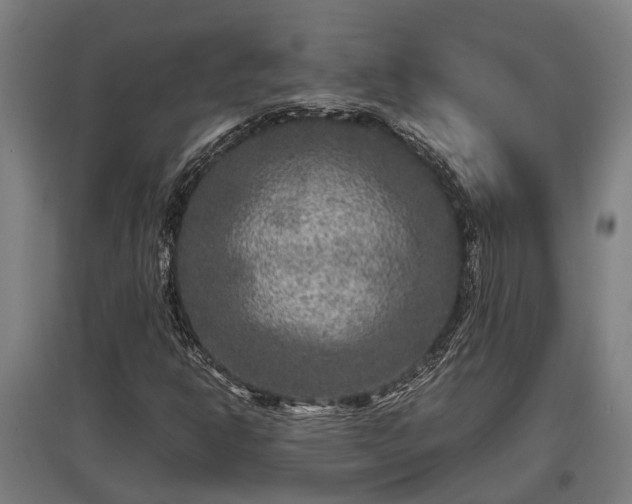 X0000095941302200801181352