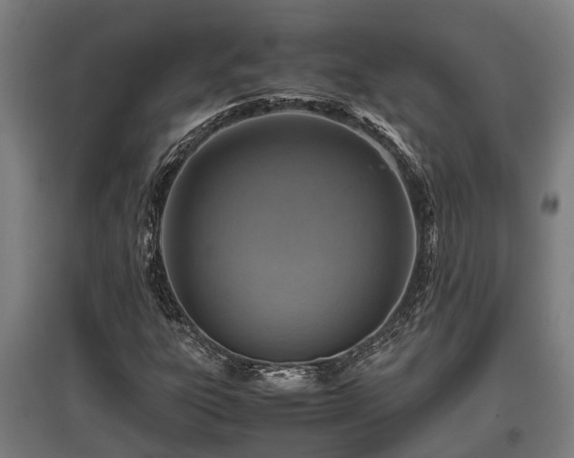 X0000095941303200801181352