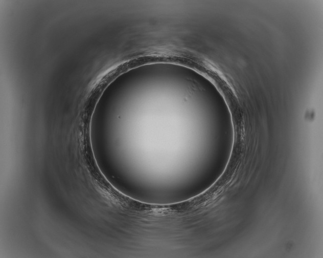 X0000095941304200801181352