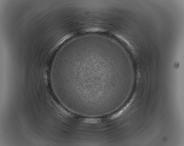 X0000095941305200801181352