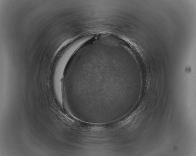 X0000095941306200801181352