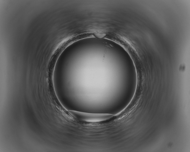X0000095941307200801181352