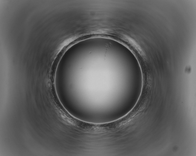X0000095941308200801181352