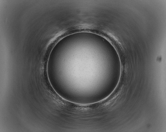 X0000095941309200801181352