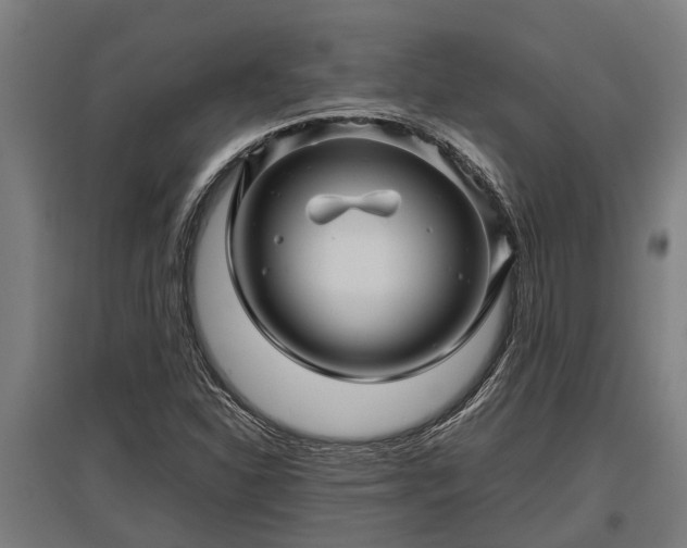 X0000095941310200801181352