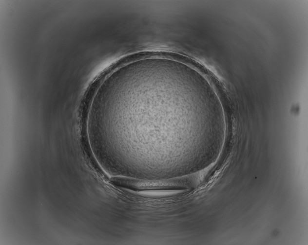 X0000095941311200801181352