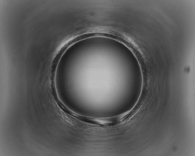 X0000095941312200801181352