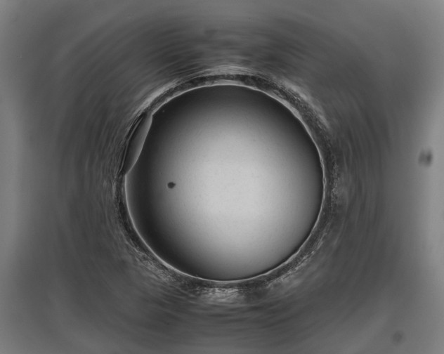 X0000095941313200801181352