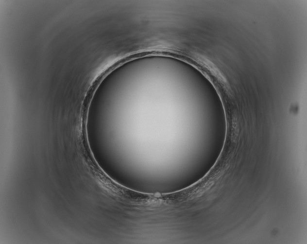 X0000095941316200801181352