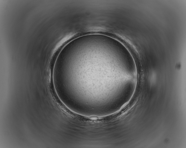 X0000095941317200801181352