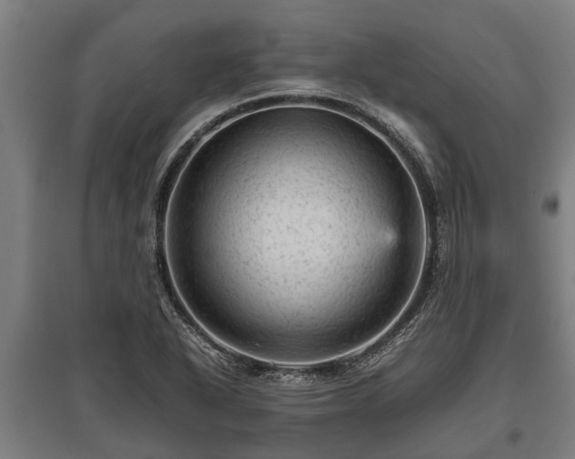 X0000095941318200801181352